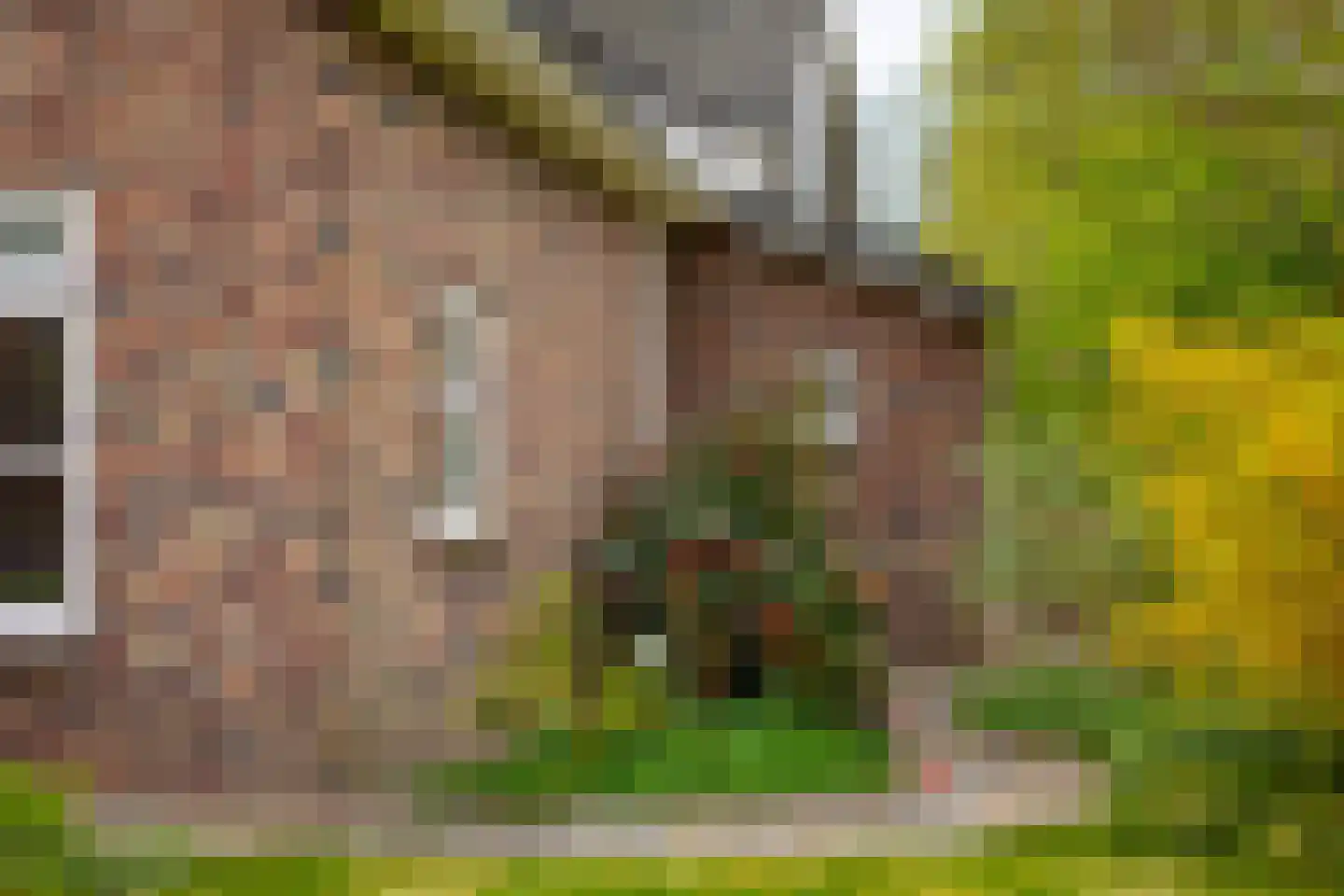 Oudendijk 46 Woudrichem thumbnail 71