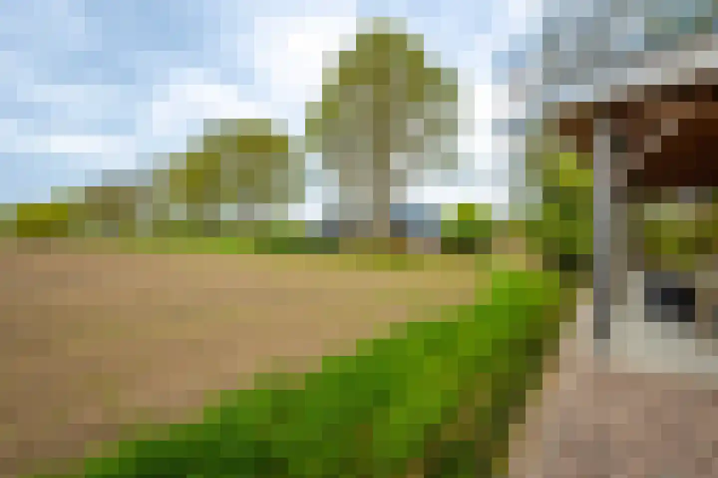 Oudendijk 46 Woudrichem thumbnail 75