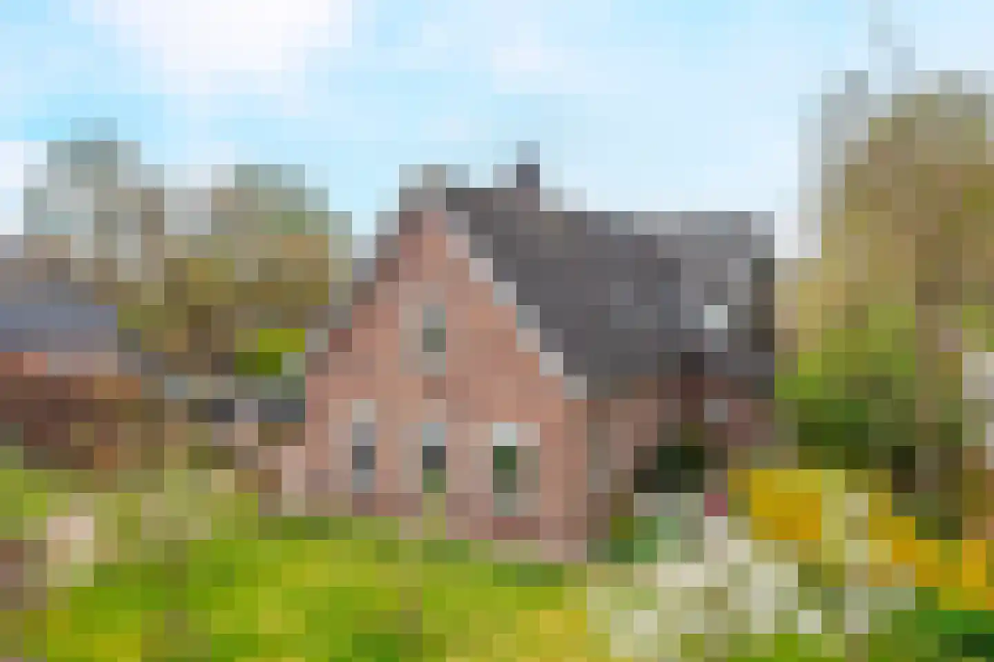 Oudendijk 46 Woudrichem thumbnail 80