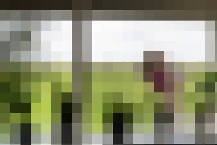 Oudendijk 79 Strijen thumbnail 11