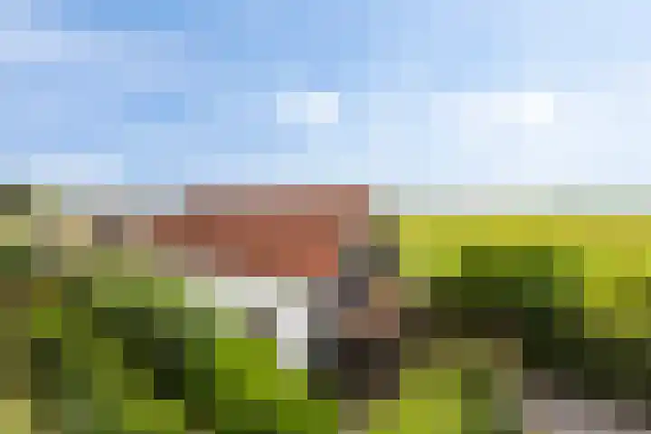 Oudendijk 79 Strijen foto 3