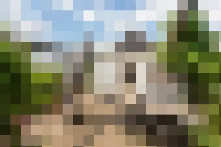 Oudendijk 79 Strijen thumbnail 30