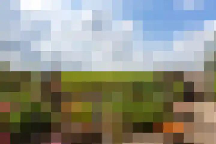 Oudendijk 79 Strijen thumbnail 32