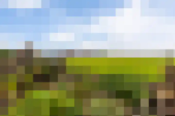 Oudendijk 79 Strijen thumbnail 33
