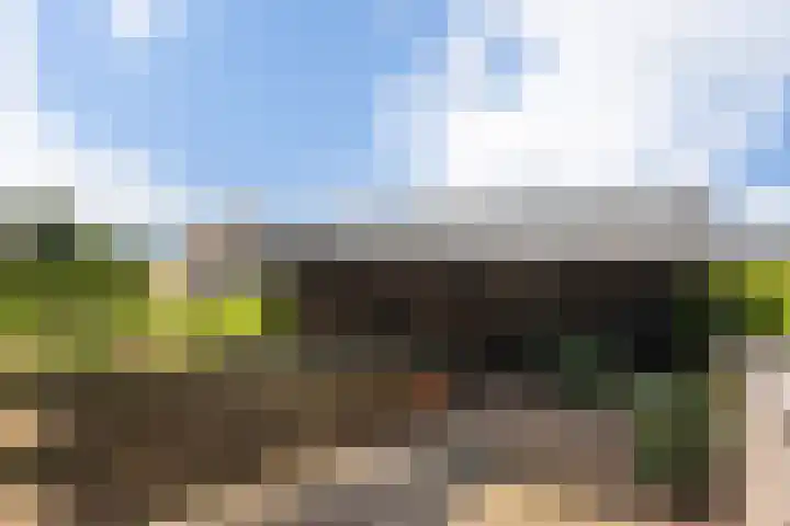 Oudendijk 79 Strijen thumbnail 34