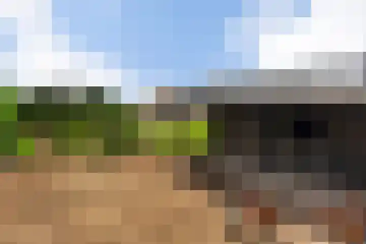 Oudendijk 79 Strijen thumbnail 35