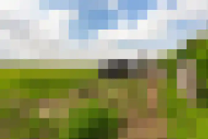 Oudendijk 79 Strijen thumbnail 36