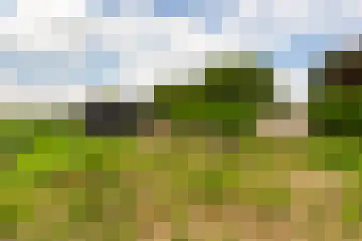 Oudendijk 79 Strijen thumbnail 37