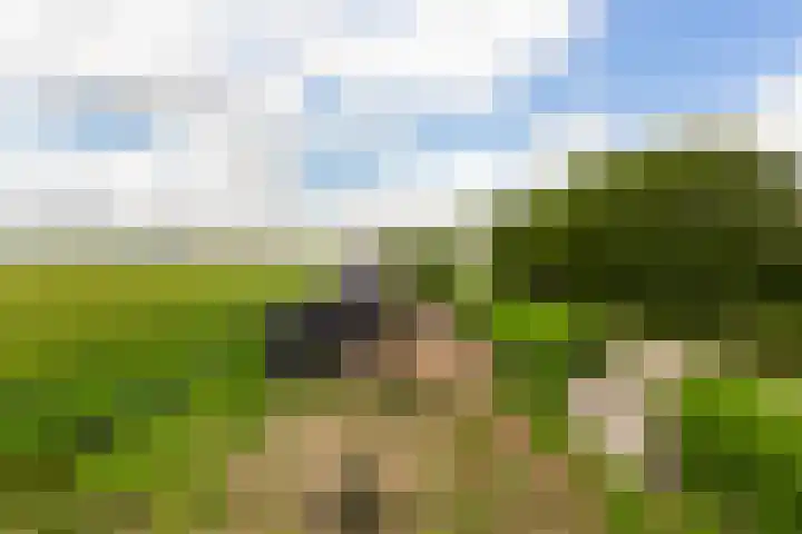 Oudendijk 79 Strijen thumbnail 38