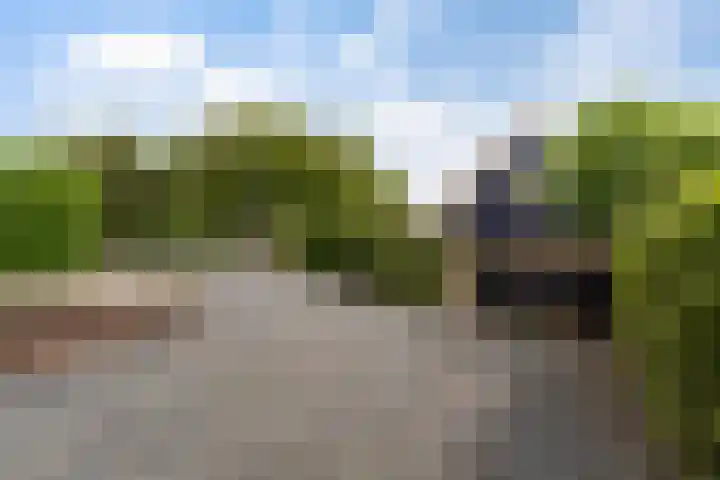 Oudendijk 79 Strijen thumbnail 4