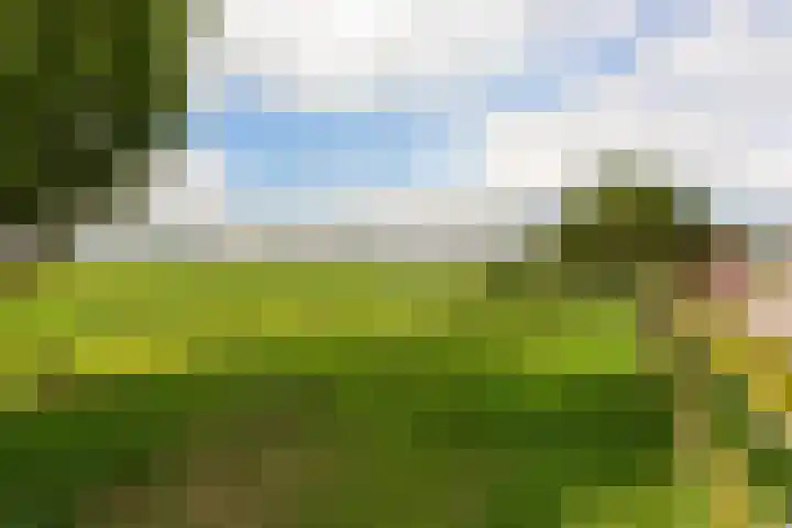 Oudendijk 79 Strijen thumbnail 41