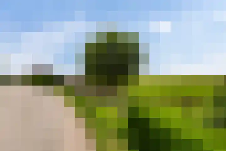 Oudendijk 79 Strijen thumbnail 42