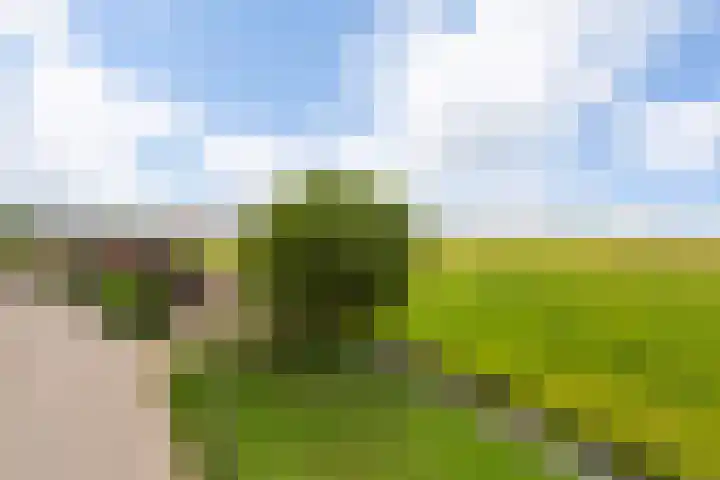 Oudendijk 79 Strijen thumbnail 43