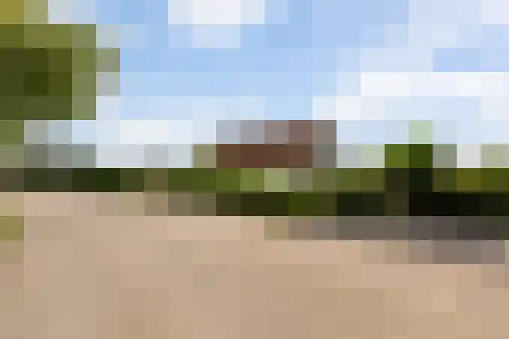 Oudendijk 79 Strijen thumbnail 46