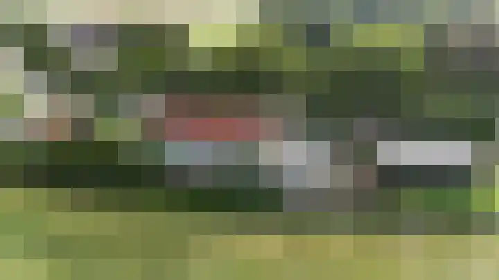 Oudendijk 79 Strijen thumbnail 48