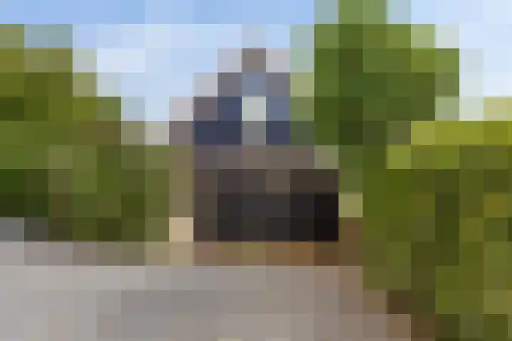 Oudendijk 79 Strijen thumbnail 5