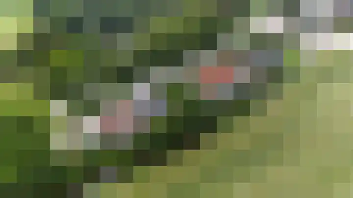 Oudendijk 79 Strijen thumbnail 52