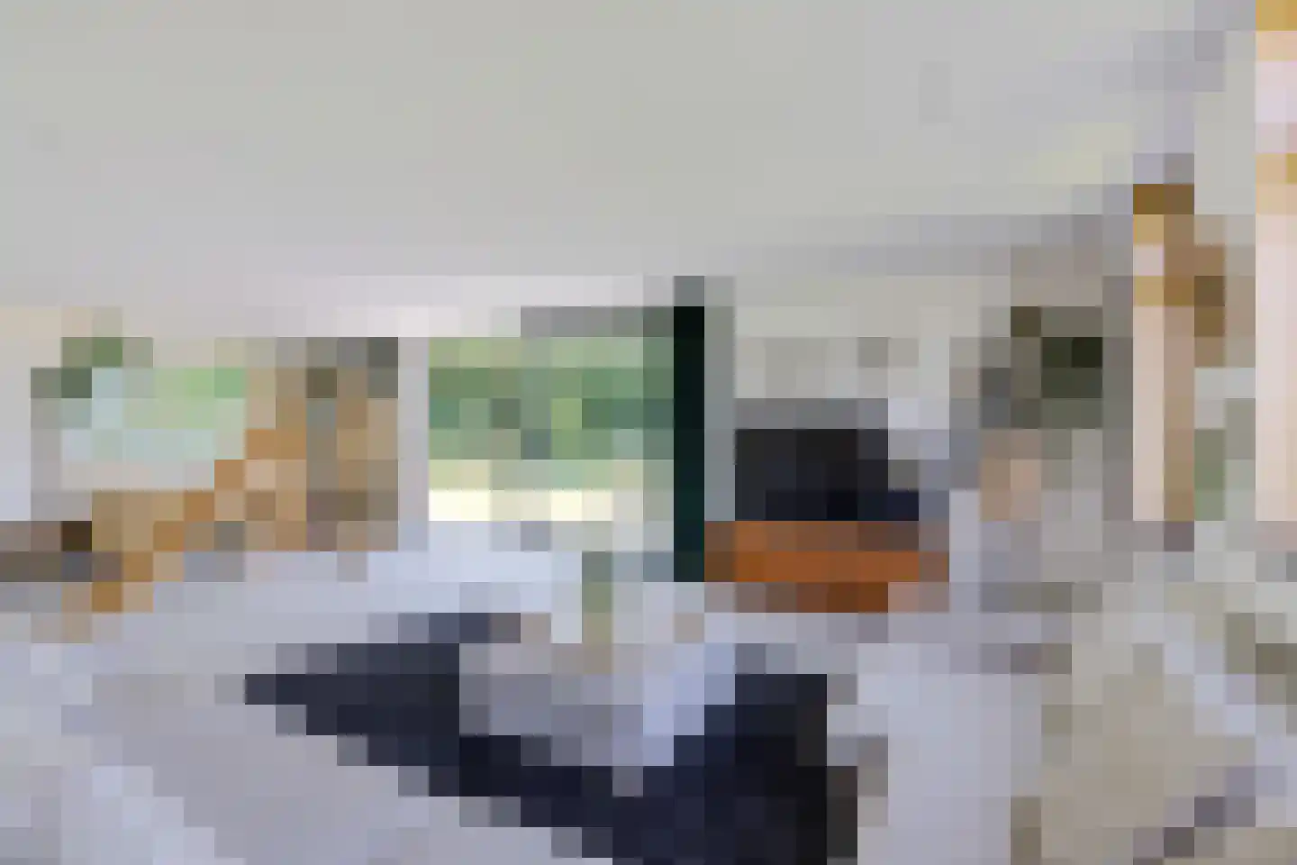 Oudeschouw 8 Akkrum thumbnail 16