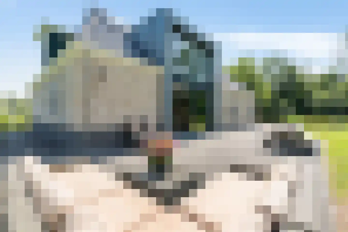 Oudeschouw 8 Akkrum thumbnail 17