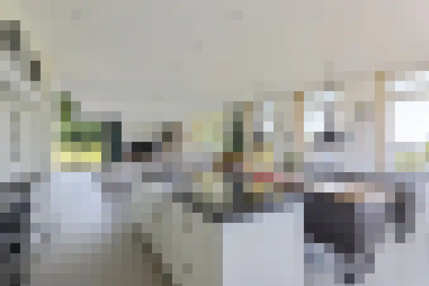 Oudeschouw 8 Akkrum thumbnail 20