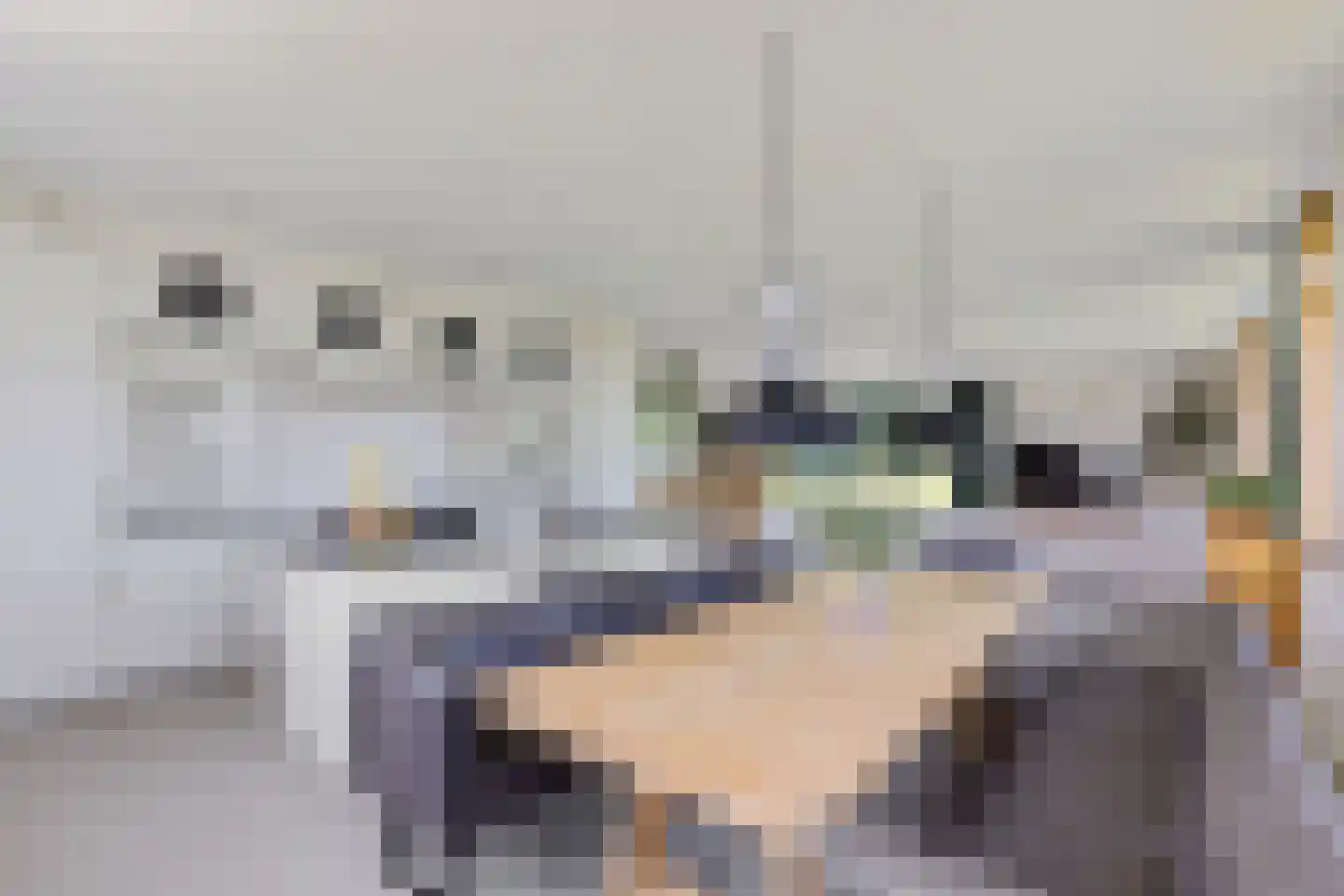 Oudeschouw 8 Akkrum thumbnail 23