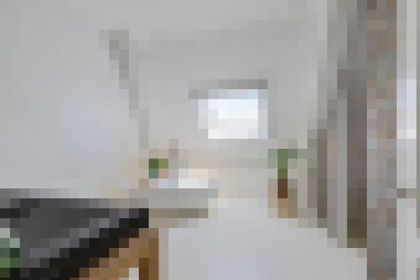 Oudeschouw 8 Akkrum thumbnail 37