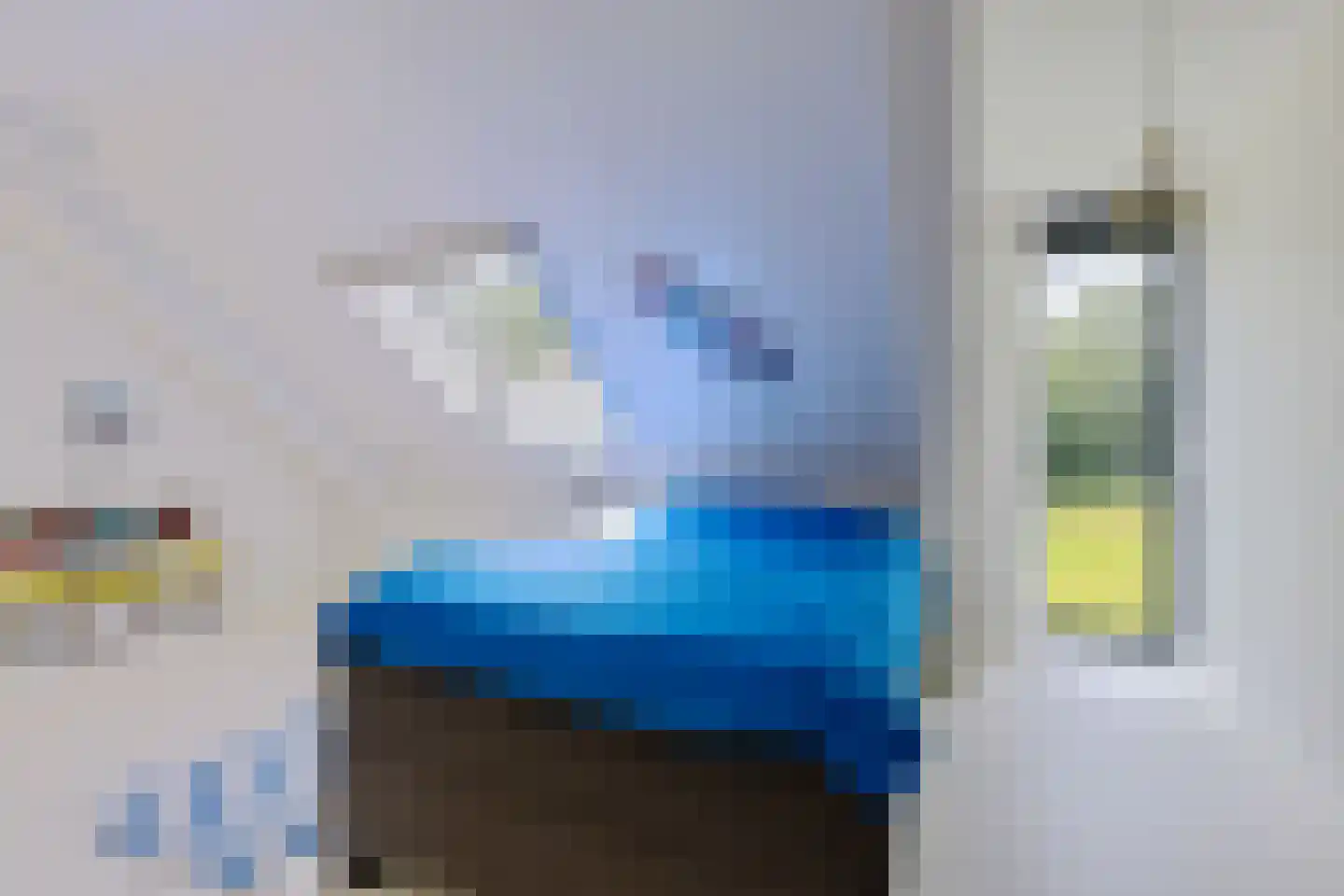 Oudeschouw 8 Akkrum thumbnail 47