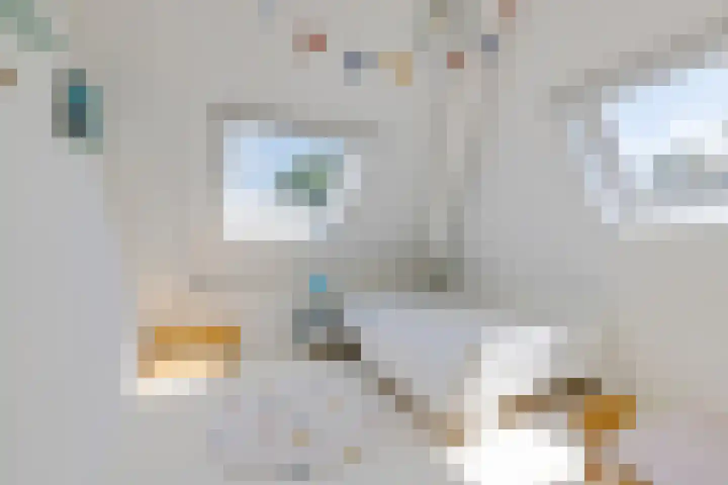 Oudeschouw 8 Akkrum thumbnail 52