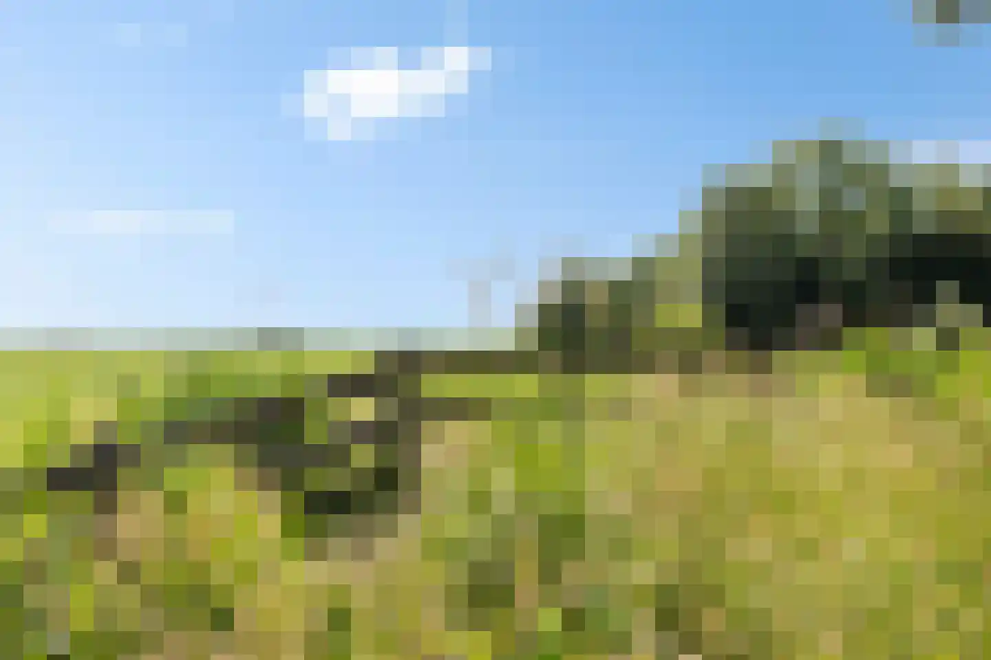 Oudeschouw 8 Akkrum thumbnail 67
