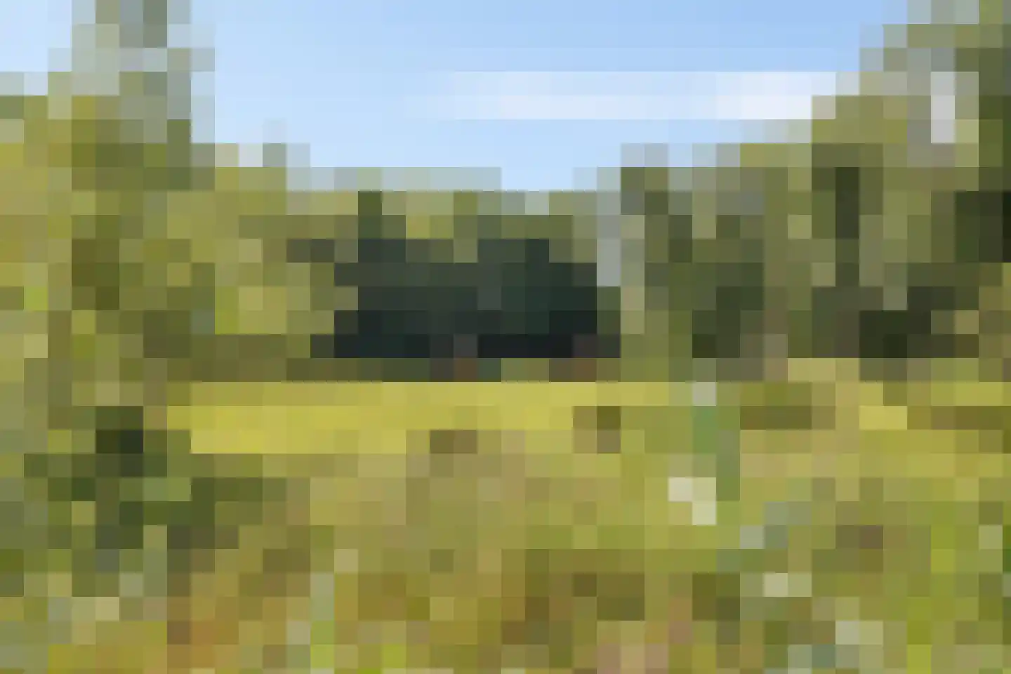 Oudeschouw 8 Akkrum thumbnail 68