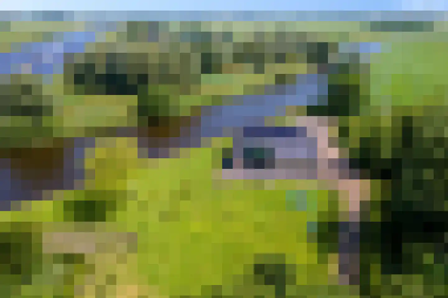 Oudeschouw 8 Akkrum thumbnail 70