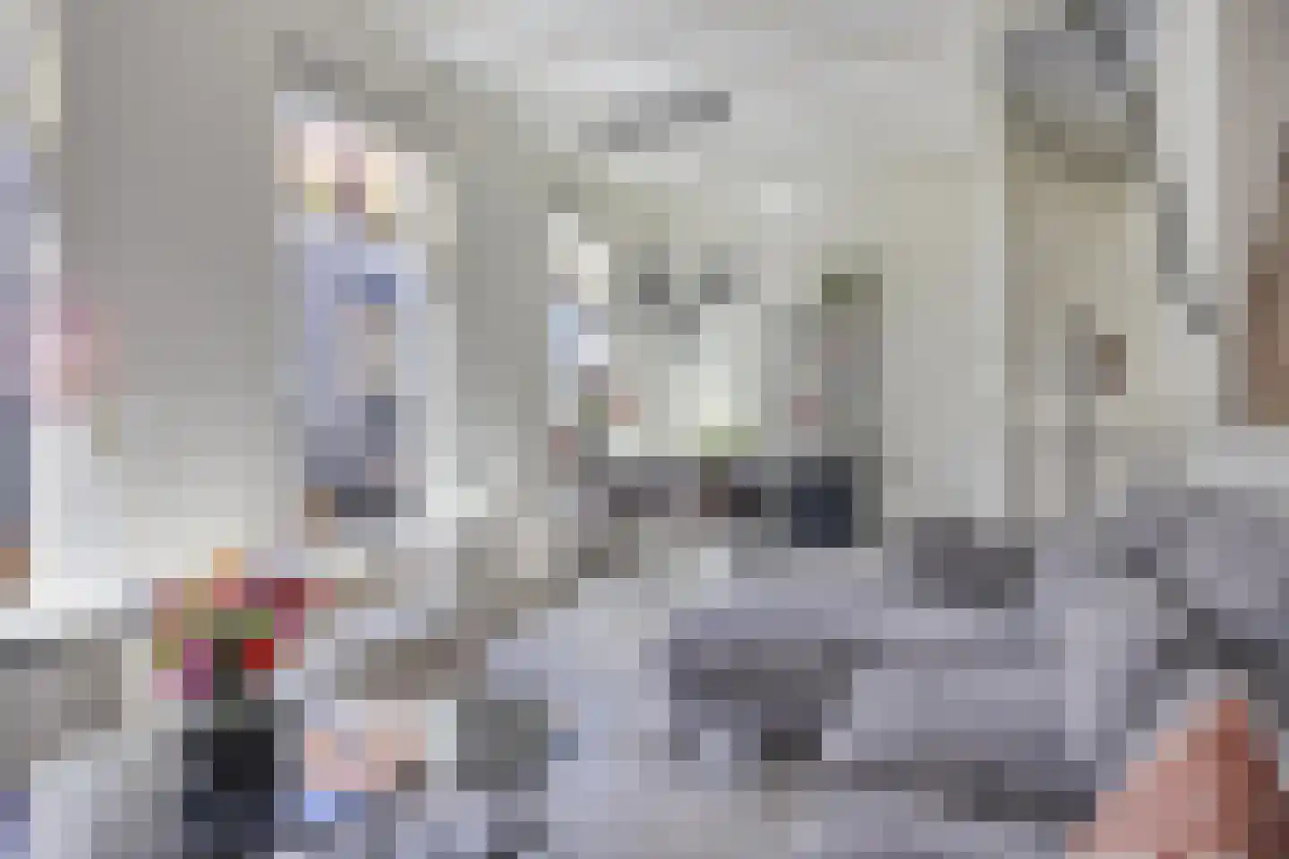 Oudestraat 177 Kampen thumbnail 15