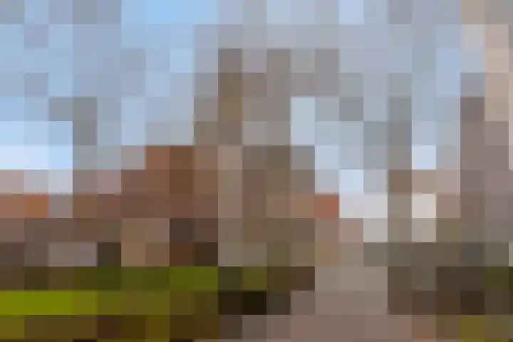 Oudestraat 19 Veere thumbnail 10