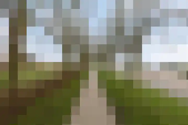 Oudestraat 19 Veere thumbnail 16