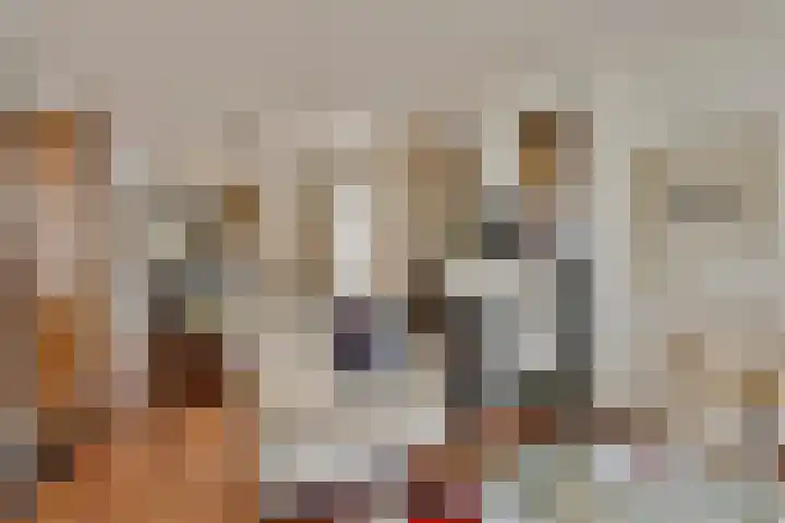 Oudestraat 20 Gemert thumbnail 13