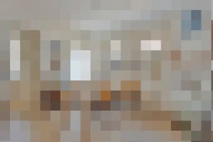 Oudestraat 20 Gemert thumbnail 26