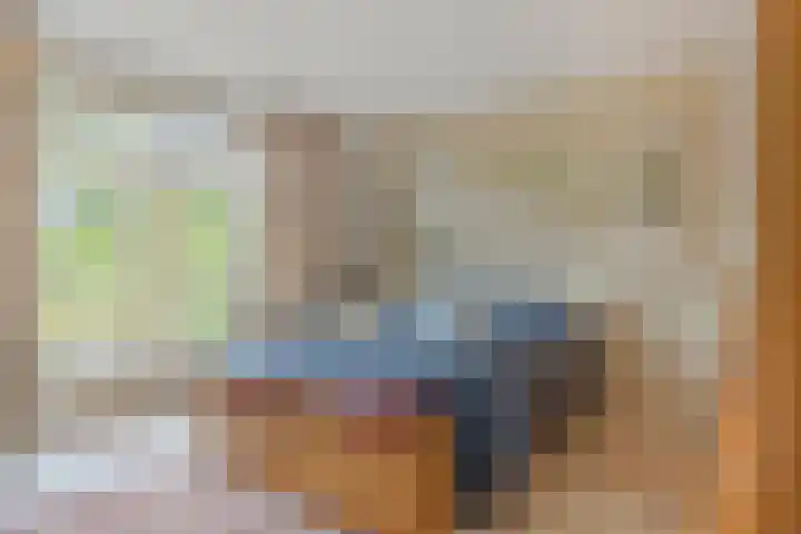 Oudestraat 20 Gemert thumbnail 28