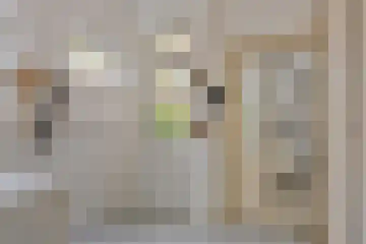 Oudestraat 20 Gemert thumbnail 34