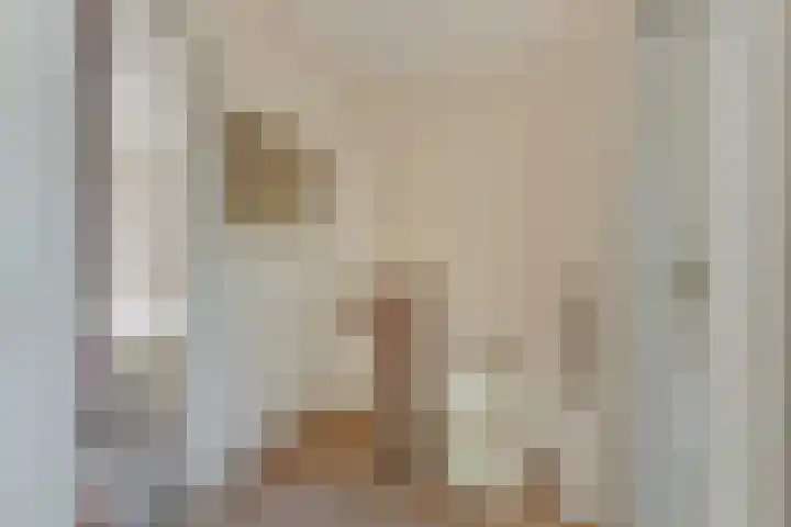 Oudestraat 20 Gemert thumbnail 36