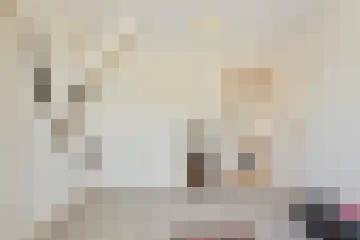 Oudestraat 20 Gemert thumbnail 42
