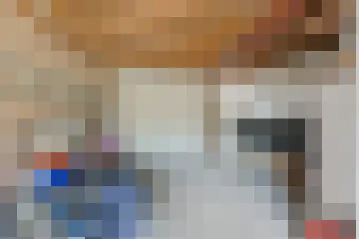 Oudestraat 20 Gemert thumbnail 49
