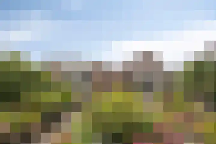 Oudestraat 20 Gemert thumbnail 5