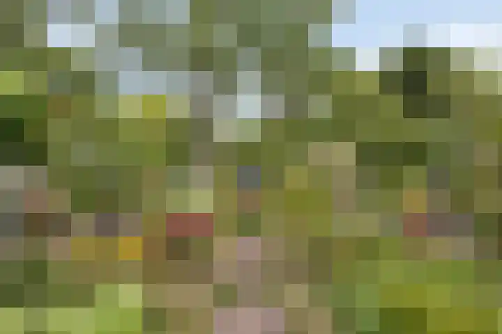 Oudestraat 20 Gemert thumbnail 54
