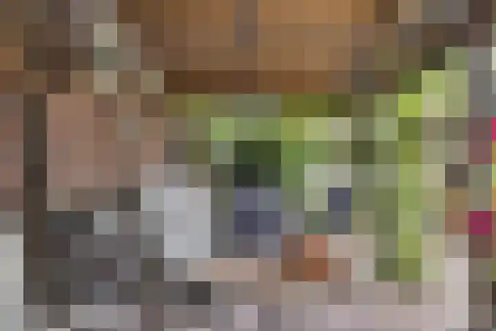 Oudestraat 20 Gemert thumbnail 56