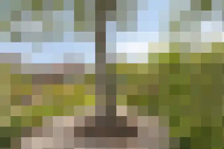 Oudestraat 20 Gemert thumbnail 66