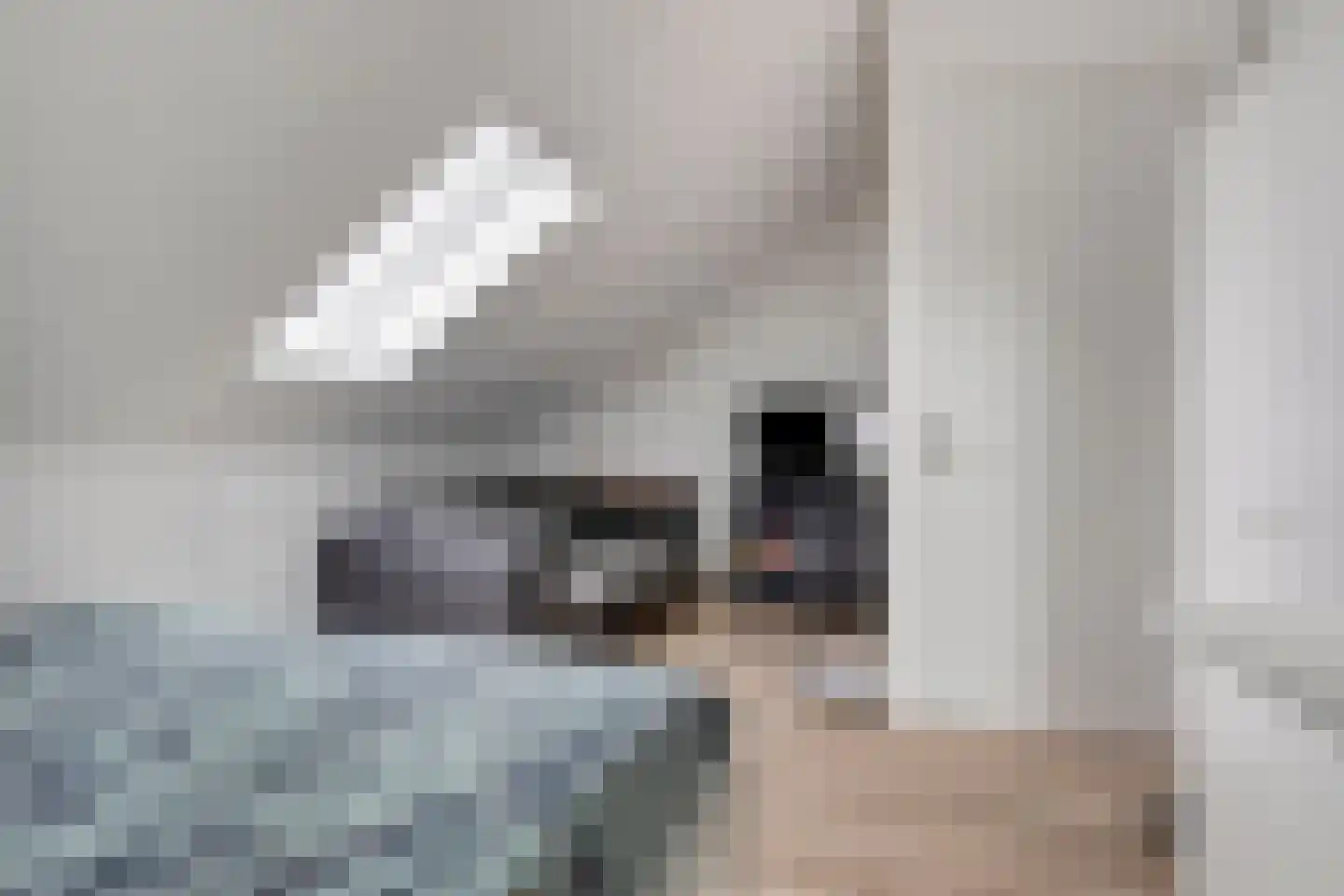 Oudestraat 21 Sprang-Capelle thumbnail 20