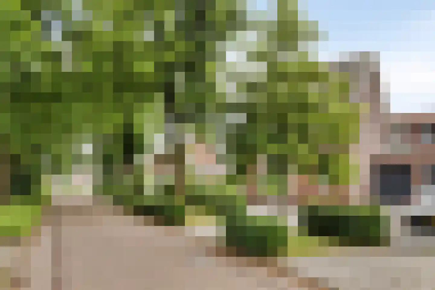 Oudestraat 21 Sprang-Capelle thumbnail 30