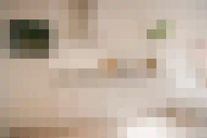 Oudewand 17 a Zutphen thumbnail 12