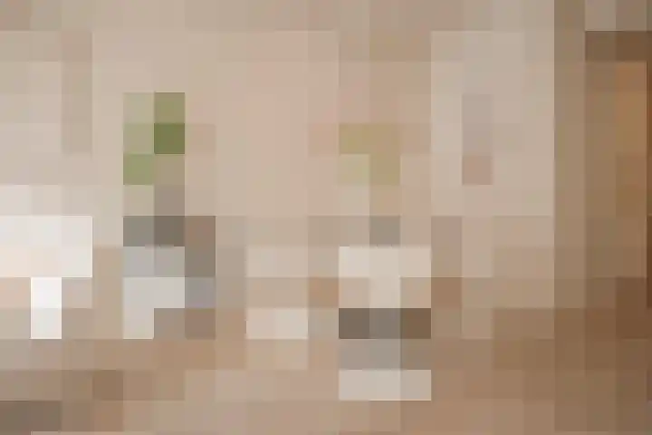 Oudewand 17 a Zutphen thumbnail 17