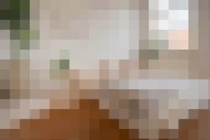 Oudewand 17 a Zutphen thumbnail 20
